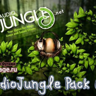 AudioJungle_Pack_01_3dfootage