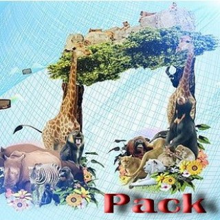 AudioJungle_Pack_02